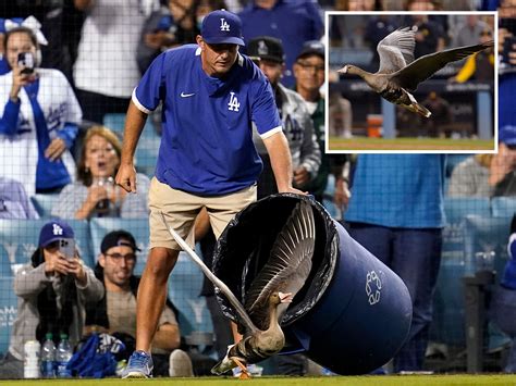 The Dodgers vs. the Goose Curse: A Battle for Redemption